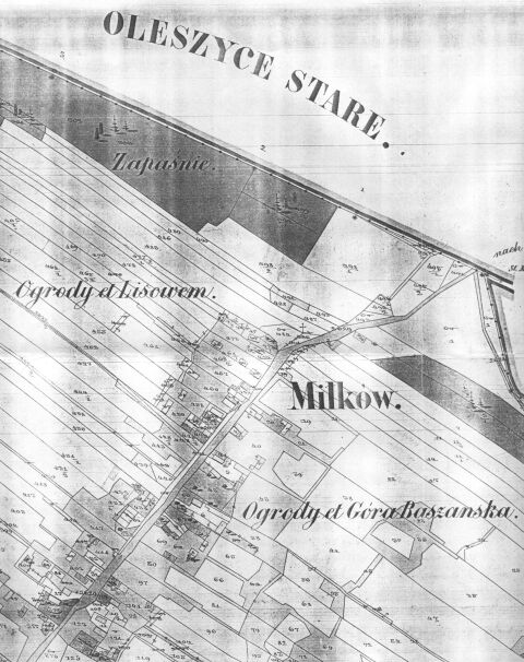 Fragment mapy katastralnej Mikowa (XIX w.)